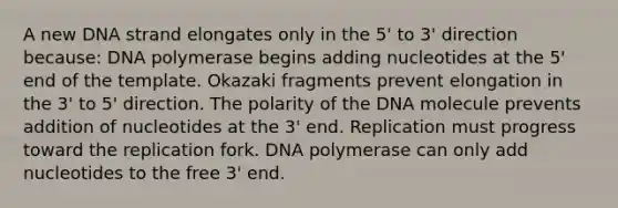 A new DNA strand elongates only in the 5' to 3' direction because: DNA polymerase begins adding nucleotides at the 5' end of the template. Okazaki fragments prevent elongation in the 3' to 5' direction. The polarity of the DNA molecule prevents addition of nucleotides at the 3' end. Replication must progress toward the replication fork. DNA polymerase can only add nucleotides to the free 3' end.