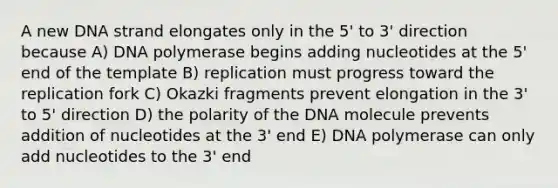 A new DNA strand elongates only in the 5' to 3' direction because A) DNA polymerase begins adding nucleotides at the 5' end of the template B) replication must progress toward the replication fork C) Okazki fragments prevent elongation in the 3' to 5' direction D) the polarity of the DNA molecule prevents addition of nucleotides at the 3' end E) DNA polymerase can only add nucleotides to the 3' end