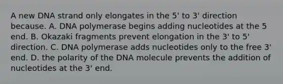 A new DNA strand only elongates in the 5' to 3' direction because. A. DNA polymerase begins adding nucleotides at the 5 end. B. Okazaki fragments prevent elongation in the 3' to 5' direction. C. DNA polymerase adds nucleotides only to the free 3' end. D. the polarity of the DNA molecule prevents the addition of nucleotides at the 3' end.