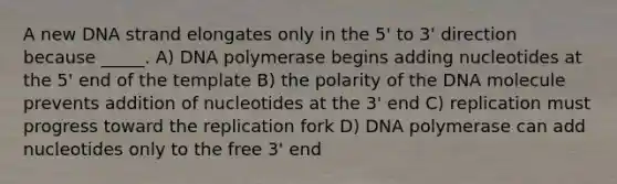 A new DNA strand elongates only in the 5' to 3' direction because _____. A) DNA polymerase begins adding nucleotides at the 5' end of the template B) the polarity of the DNA molecule prevents addition of nucleotides at the 3' end C) replication must progress toward the replication fork D) DNA polymerase can add nucleotides only to the free 3' end