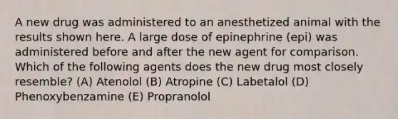 A new drug was administered to an anesthetized animal with the results shown here. A large dose of epinephrine (epi) was administered before and after the new agent for comparison. Which of the following agents does the new drug most closely resemble? (A) Atenolol (B) Atropine (C) Labetalol (D) Phenoxybenzamine (E) Propranolol