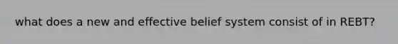 what does a new and effective belief system consist of in REBT?