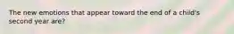 The new emotions that appear toward the end of a child's second year are?