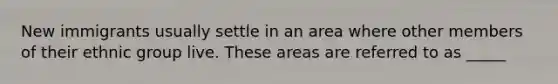 New immigrants usually settle in an area where other members of their ethnic group live. These areas are referred to as _____