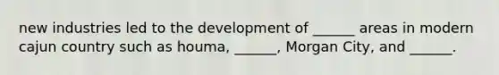new industries led to the development of ______ areas in modern cajun country such as houma, ______, Morgan City, and ______.