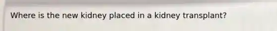 Where is the new kidney placed in a kidney transplant?