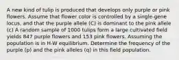 A new kind of tulip is produced that develops only purple or pink flowers. Assume that flower color is controlled by a single-gene locus, and that the purple allele (C) is dominant to the pink allele (c) A random sample of 1000 tulips form a large cultivated field yields 847 purple flowers and 153 pink flowers. Assuming the population is in H-W equilibrium. Determine the frequency of the purple (p) and the pink alleles (q) in this field population.