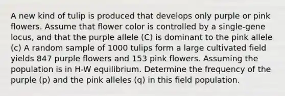 A new kind of tulip is produced that develops only purple or pink flowers. Assume that flower color is controlled by a single-gene locus, and that the purple allele (C) is dominant to the pink allele (c) A random sample of 1000 tulips form a large cultivated field yields 847 purple flowers and 153 pink flowers. Assuming the population is in H-W equilibrium. Determine the frequency of the purple (p) and the pink alleles (q) in this field population.