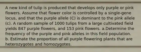 A new kind of tulip is produced that develops only purple or pink flowers. Assume that flower color is controlled by a single-gene locus, and that the purple allele (C) is dominant to the pink allele (c). A random sample of 1000 tulips from a large cultivated field yields 847 purple flowers, and 153 pink flowers. a.Determine the frequency of the purple and pink alleles in this field population. b. Estimate the proportion of all purple flowering plants that are heterozygotes and homozygotes.