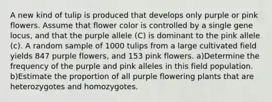 A new kind of tulip is produced that develops only purple or pink flowers. Assume that flower color is controlled by a single gene locus, and that the purple allele (C) is dominant to the pink allele (c). A random sample of 1000 tulips from a large cultivated field yields 847 purple flowers, and 153 pink flowers. a)Determine the frequency of the purple and pink alleles in this field population. b)Estimate the proportion of all purple flowering plants that are heterozygotes and homozygotes.