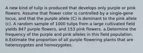 A new kind of tulip is produced that develops only purple or pink flowers. Assume that flower color is controlled by a single-gene locus, and that the purple allele (C) is dominant to the pink allele (c). A random sample of 1000 tulips from a large cultivated field yields 847 purple flowers, and 153 pink flowers. a.Determine the frequency of the purple and pink alleles in this field population. b.Estimate the proportion of all purple flowering plants that are heterozygotes and homozygotes.