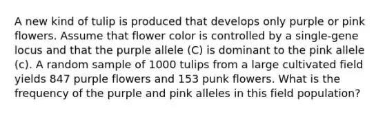 A new kind of tulip is produced that develops only purple or pink flowers. Assume that flower color is controlled by a single-gene locus and that the purple allele (C) is dominant to the pink allele (c). A random sample of 1000 tulips from a large cultivated field yields 847 purple flowers and 153 punk flowers. What is the frequency of the purple and pink alleles in this field population?