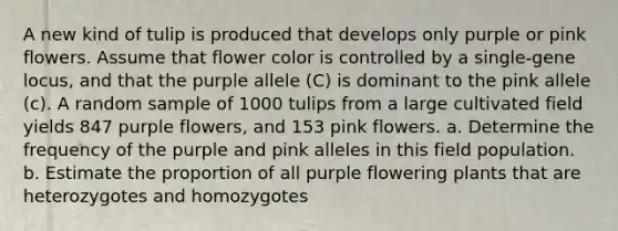 A new kind of tulip is produced that develops only purple or pink flowers. Assume that flower color is controlled by a single-gene locus, and that the purple allele (C) is dominant to the pink allele (c). A random sample of 1000 tulips from a large cultivated field yields 847 purple flowers, and 153 pink flowers. a. Determine the frequency of the purple and pink alleles in this field population. b. Estimate the proportion of all purple flowering plants that are heterozygotes and homozygotes