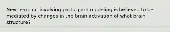 New learning involving participant modeling is believed to be mediated by changes in the brain activation of what brain structure?