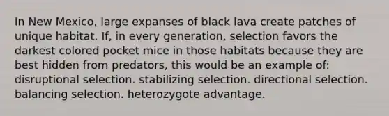 In New Mexico, large expanses of black lava create patches of unique habitat. If, in every generation, selection favors the darkest colored pocket mice in those habitats because they are best hidden from predators, this would be an example of: disruptional selection. stabilizing selection. directional selection. balancing selection. heterozygote advantage.