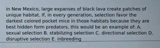 in New Mexico, large expanses of black lava create patches of unique habitat. If, in every generation, selection favor the darkest colored pocket mice in those habitats because they are best hidden form predators, this would be an example of: A. sexual selection B. stabilizing selection C. directional selection D. disruptive selection E. inbreeding