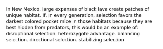 In New Mexico, large expanses of black lava create patches of unique habitat. If, in every generation, selection favors the darkest colored pocket mice in those habitats because they are best hidden from predators, this would be an example of: disruptional selection. heterozygote advantage. balancing selection. directional selection. stabilizing selection