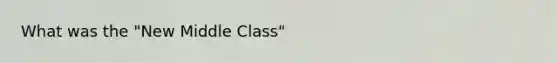 What was the "New Middle Class"