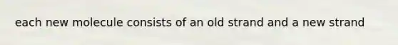 each new molecule consists of an old strand and a new strand