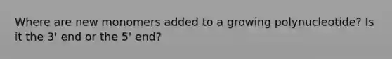 Where are new monomers added to a growing polynucleotide? Is it the 3' end or the 5' end?