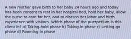 A new mother gave birth to her baby 24 hours ago and today has been content to rest in her hospital bed, hold her baby, allow the nurse to care for her, and to discuss her labor and birth experience with visitors. Which phase of the puerperium is this client in? a) Taking-hold phase b) Taking-in phase c) Letting-go phase d) Rooming-in phase