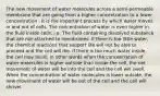 The new movement of water molecules across a semi-permeable membrane that are going from a higher concentration to a lower concentration . It is the important process by which water moves in and out of cells. The concentration of water is even higher in the fluid inside cells; i.e. The fluid containing dissolved substance that are not attached to membranes. If there is too little water, the chemical reactions that support life will not be able to proceed and the cell will die. If there is too much water inside, the cell may burst. In other words when the concentration of water molecules is higher outside than inside the cell, the net movement of water will be into the cell and the cell will swell. When the concentration of water molecules is lower outside, the new movement of water will be out of the cell and the cell will shrivel.