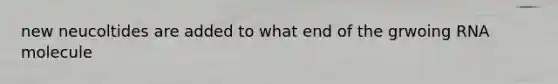 new neucoltides are added to what end of the grwoing RNA molecule