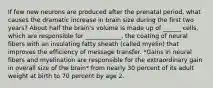 If few new neurons are produced after the prenatal period, what causes the dramatic increase in brain size during the first two years? About half the brain's volume is made up of ______ cells, which are responsible for ____________, the coating of neural fibers with an insulating fatty sheath (called myelin) that improves the efficiency of message transfer. *Gains in neural fibers and myelination are responsible for the extraordinary gain in overall size of the brain* from nearly 30 percent of its adult weight at birth to 70 percent by age 2.