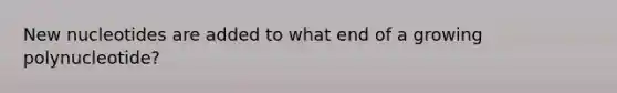 New nucleotides are added to what end of a growing polynucleotide?