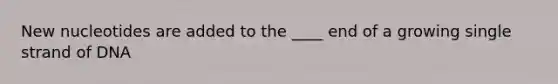 New nucleotides are added to the ____ end of a growing single strand of DNA