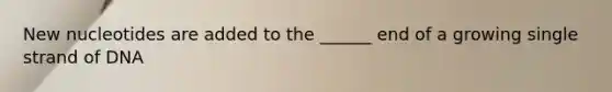 New nucleotides are added to the ______ end of a growing single strand of DNA