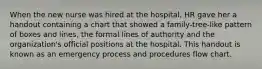 When the new nurse was hired at the hospital, HR gave her a handout containing a chart that showed a family-tree-like pattern of boxes and lines, the formal lines of authority and the organization's official positions at the hospital. This handout is known as an emergency process and procedures flow chart.