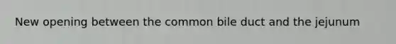 New opening between the common bile duct and the jejunum