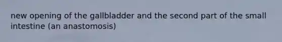 new opening of the gallbladder and the second part of <a href='https://www.questionai.com/knowledge/kt623fh5xn-the-small-intestine' class='anchor-knowledge'>the small intestine</a> (an anastomosis)