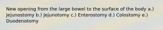 New opening from the large bowel to the surface of the body a.) Jejunostomy b.) Jejunotomy c.) Enterostomy d.) Colostomy e.) Duodenotomy