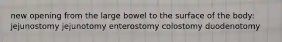 new opening from the large bowel to the surface of the body: jejunostomy jejunotomy enterostomy colostomy duodenotomy