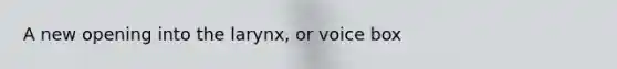 A new opening into the larynx, or voice box