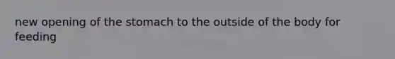 new opening of the stomach to the outside of the body for feeding