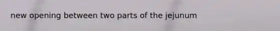 new opening between two parts of the jejunum