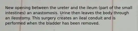 New opening between the ureter and the ileum (part of the small intestines) an anastomosis. Urine then leaves the body through an ileostomy. This surgery creates an ileal conduit and is performed when the bladder has been removed.