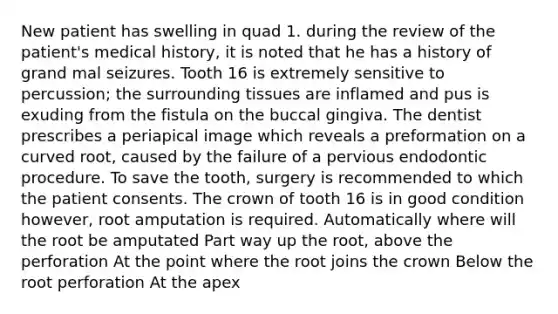 New patient has swelling in quad 1. during the review of the patient's medical history, it is noted that he has a history of grand mal seizures. Tooth 16 is extremely sensitive to percussion; the surrounding tissues are inflamed and pus is exuding from the fistula on the buccal gingiva. The dentist prescribes a periapical image which reveals a preformation on a curved root, caused by the failure of a pervious endodontic procedure. To save the tooth, surgery is recommended to which the patient consents. The crown of tooth 16 is in good condition however, root amputation is required. Automatically where will the root be amputated Part way up the root, above the perforation At the point where the root joins the crown Below the root perforation At the apex