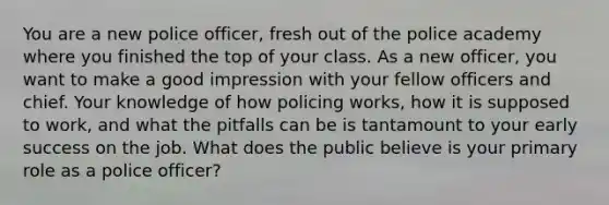 You are a new police officer, fresh out of the police academy where you finished the top of your class. As a new officer, you want to make a good impression with your fellow officers and chief. Your knowledge of how policing works, how it is supposed to work, and what the pitfalls can be is tantamount to your early success on the job. What does the public believe is your primary role as a police officer?