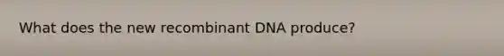 What does the new <a href='https://www.questionai.com/knowledge/kkrH4LHLPA-recombinant-dna' class='anchor-knowledge'>recombinant dna</a> produce?