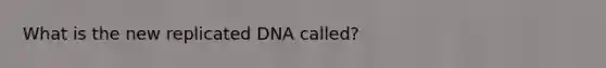 What is the new replicated DNA called?