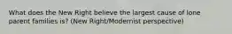 What does the New Right believe the largest cause of lone parent families is? (New Right/Modernist perspective)