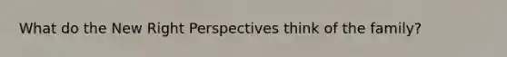 What do the New Right Perspectives think of the family?