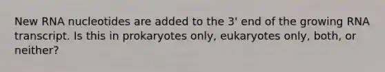 New RNA nucleotides are added to the 3' end of the growing RNA transcript. Is this in prokaryotes only, eukaryotes only, both, or neither?