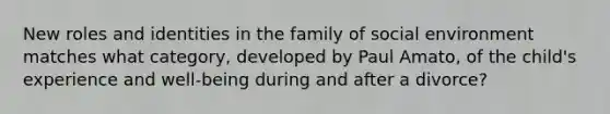 New roles and identities in the family of social environment matches what category, developed by Paul Amato, of the child's experience and well-being during and after a divorce?