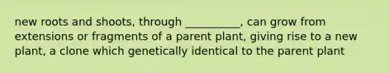 new roots and shoots, through __________, can grow from extensions or fragments of a parent plant, giving rise to a new plant, a clone which genetically identical to the parent plant