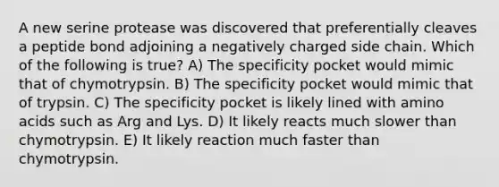 A new serine protease was discovered that preferentially cleaves a peptide bond adjoining a negatively charged side chain. Which of the following is true? A) The specificity pocket would mimic that of chymotrypsin. B) The specificity pocket would mimic that of trypsin. C) The specificity pocket is likely lined with amino acids such as Arg and Lys. D) It likely reacts much slower than chymotrypsin. E) It likely reaction much faster than chymotrypsin.